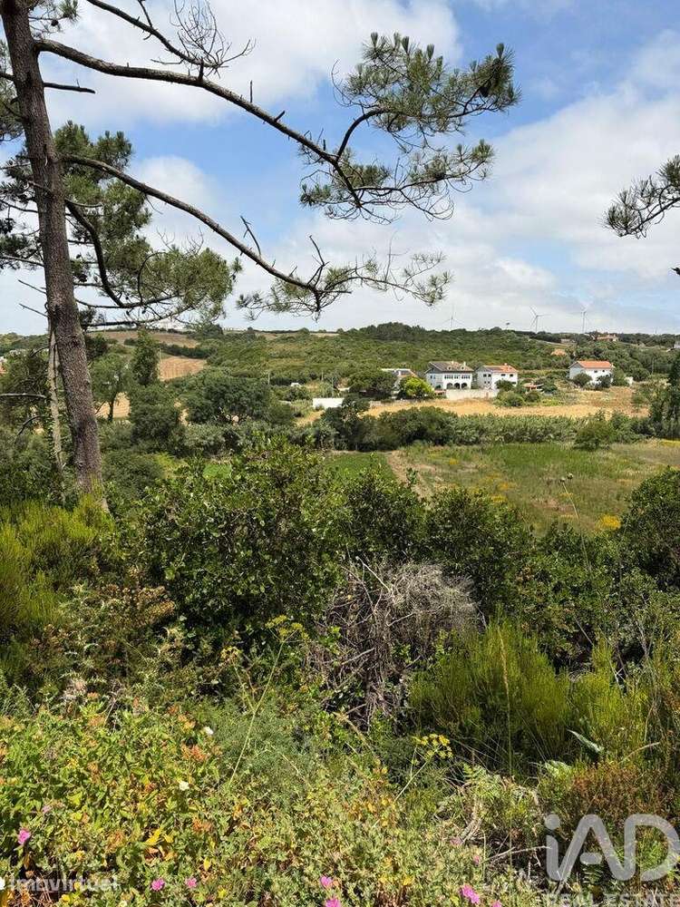 Terreno Agrícola em Santo Isidoro - Grande imagem: 3/5
