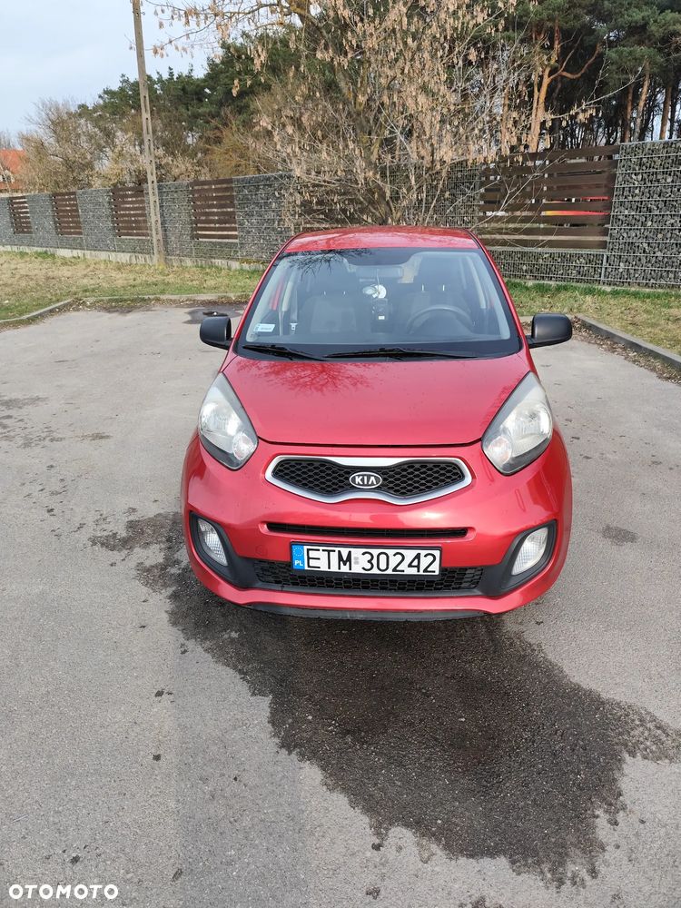 Kia Picanto 1.0 L - 1