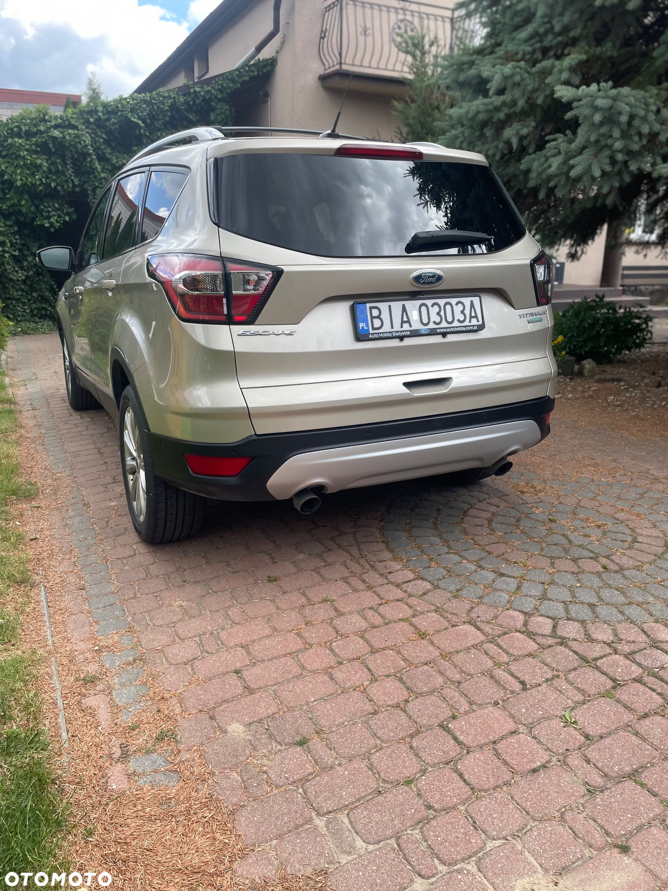 Ford Escape 2.0 EcoBoost AWD Titanium - 5