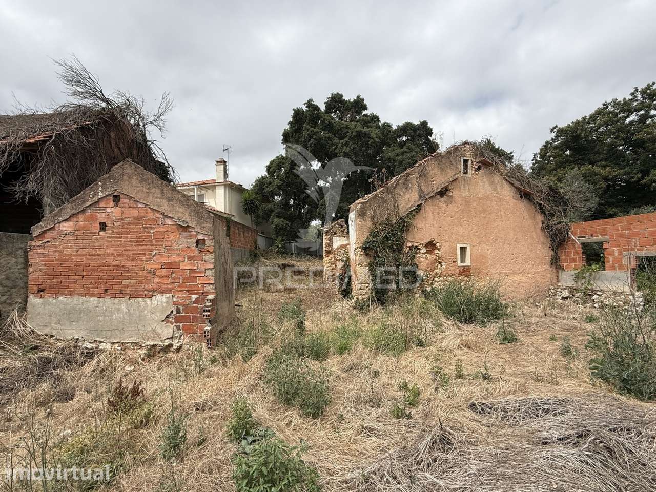 Ruína com projeto aprovado - Ourém - Grande imagem: 4/27