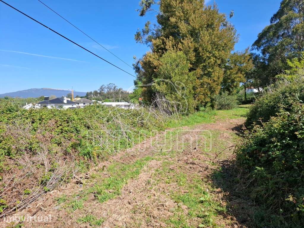 Fabuloso terreno para venda em Seixas - Grande imagem: 2/15