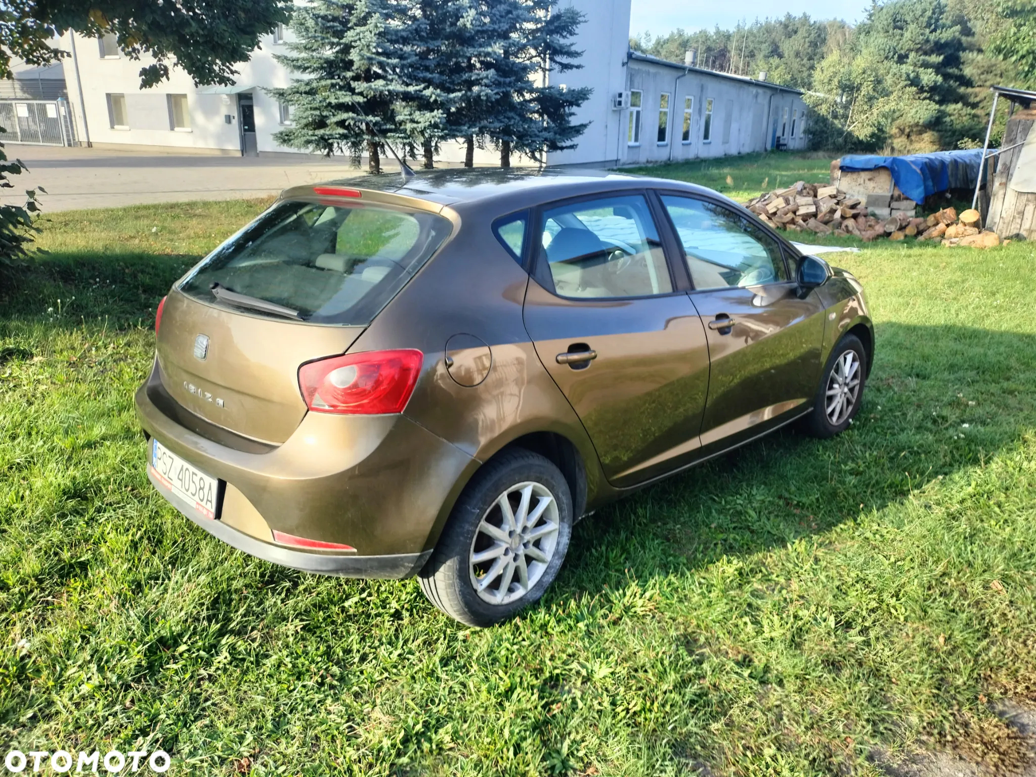 Seat Ibiza 1.4 16V Entry - 9