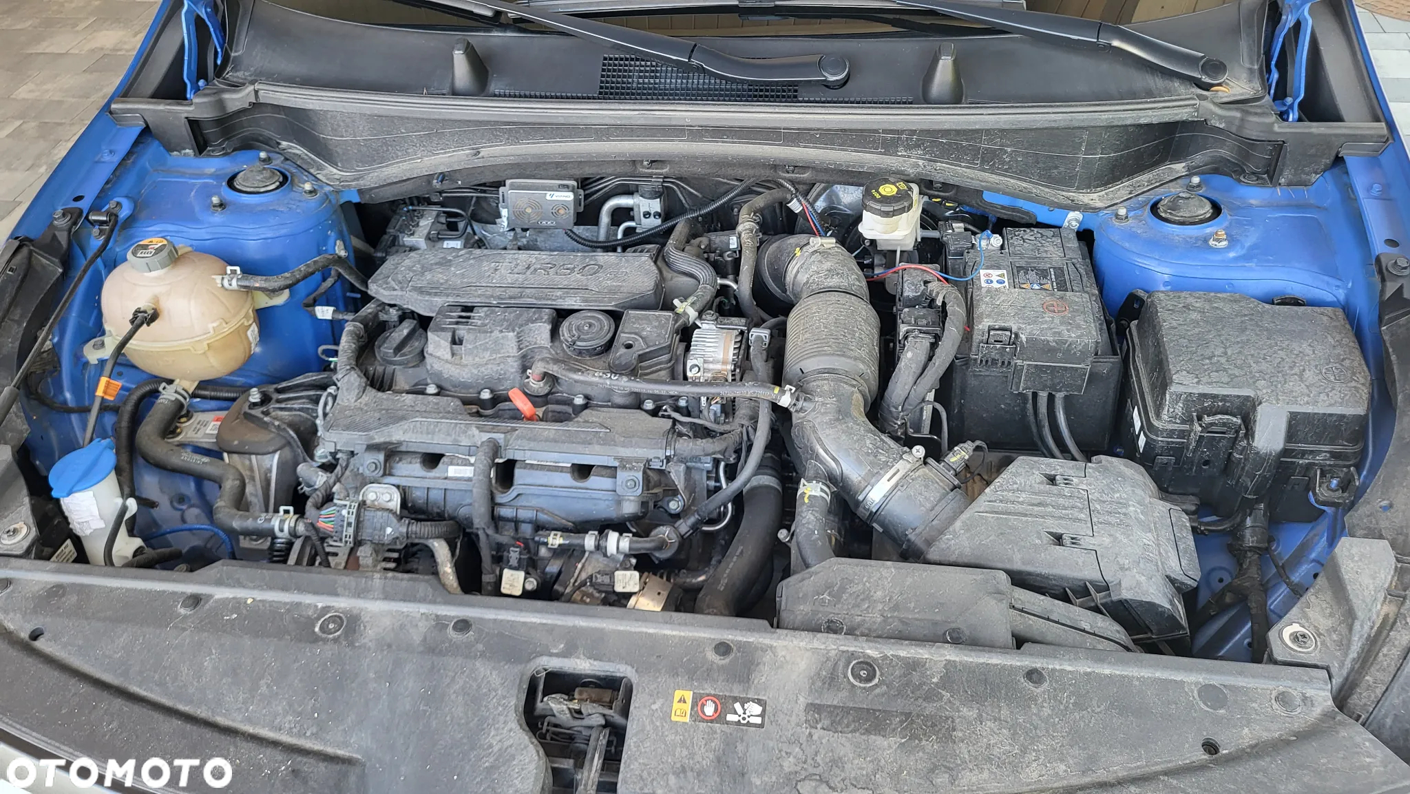Kia Sportage - 12