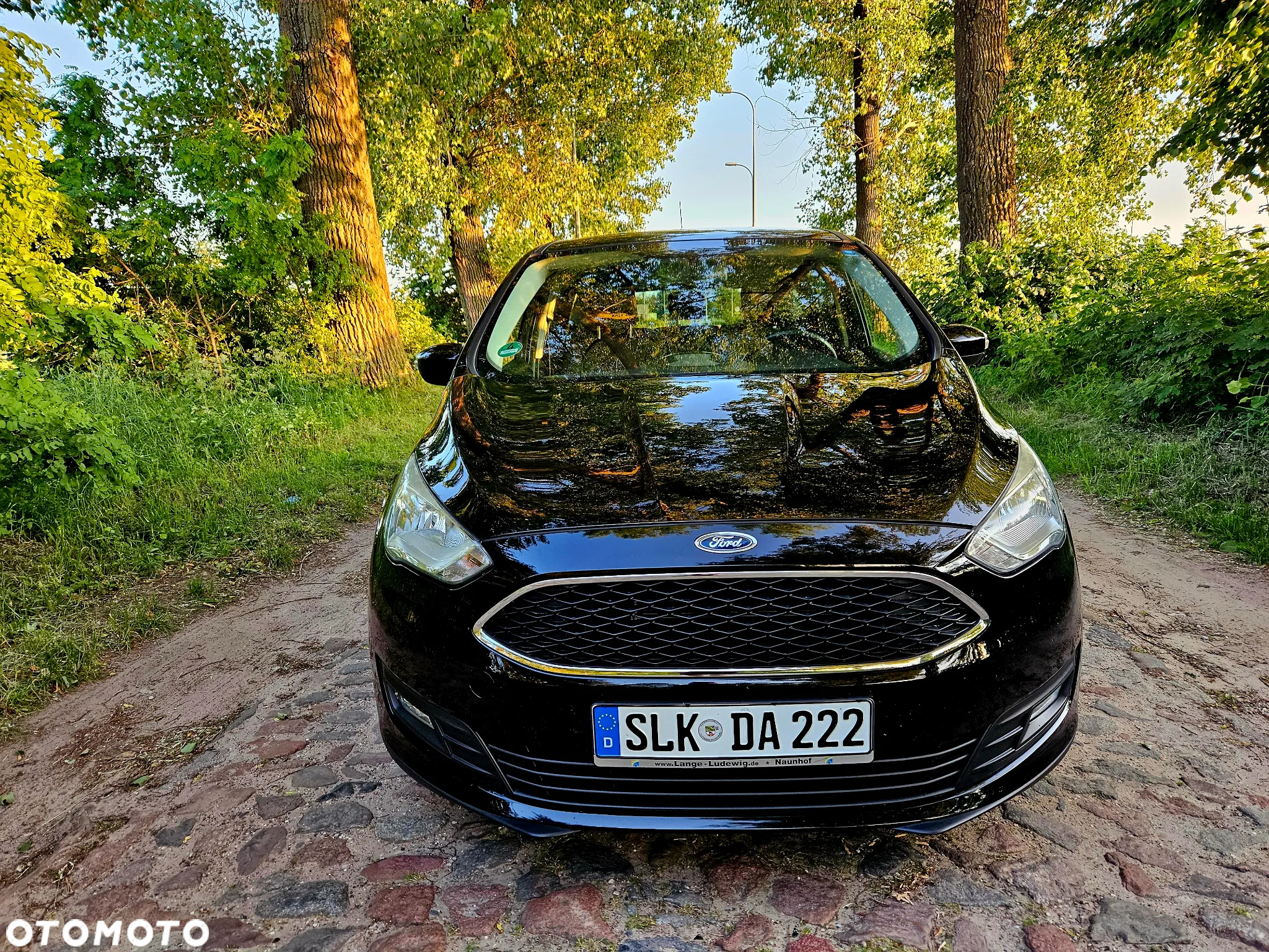 Ford C-MAX - 2