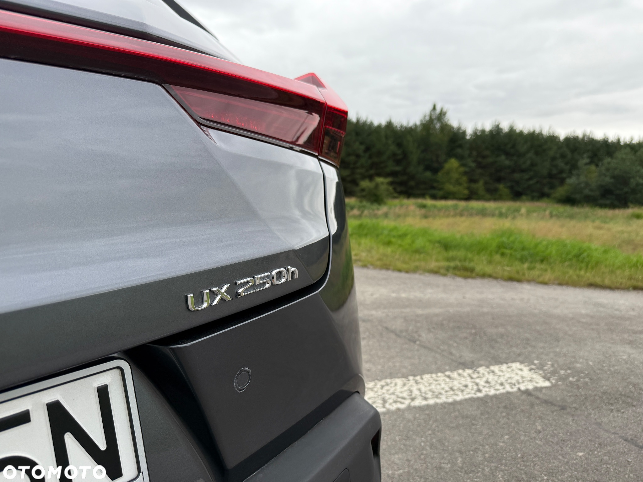 Lexus UX 250h GPF Business 2WD - 11