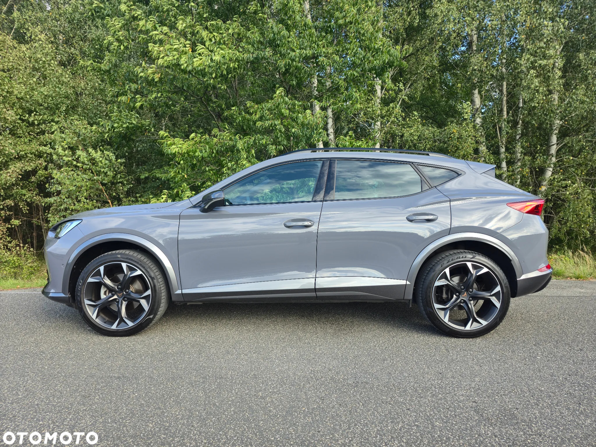 Cupra Formentor 1.5 TSI DSG - 9