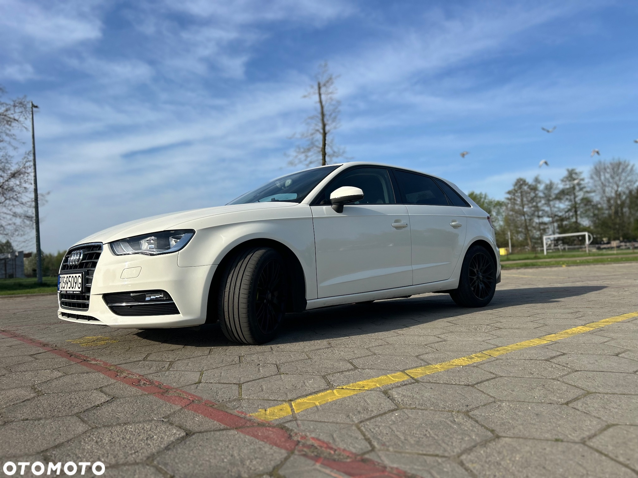Audi A3 - 24