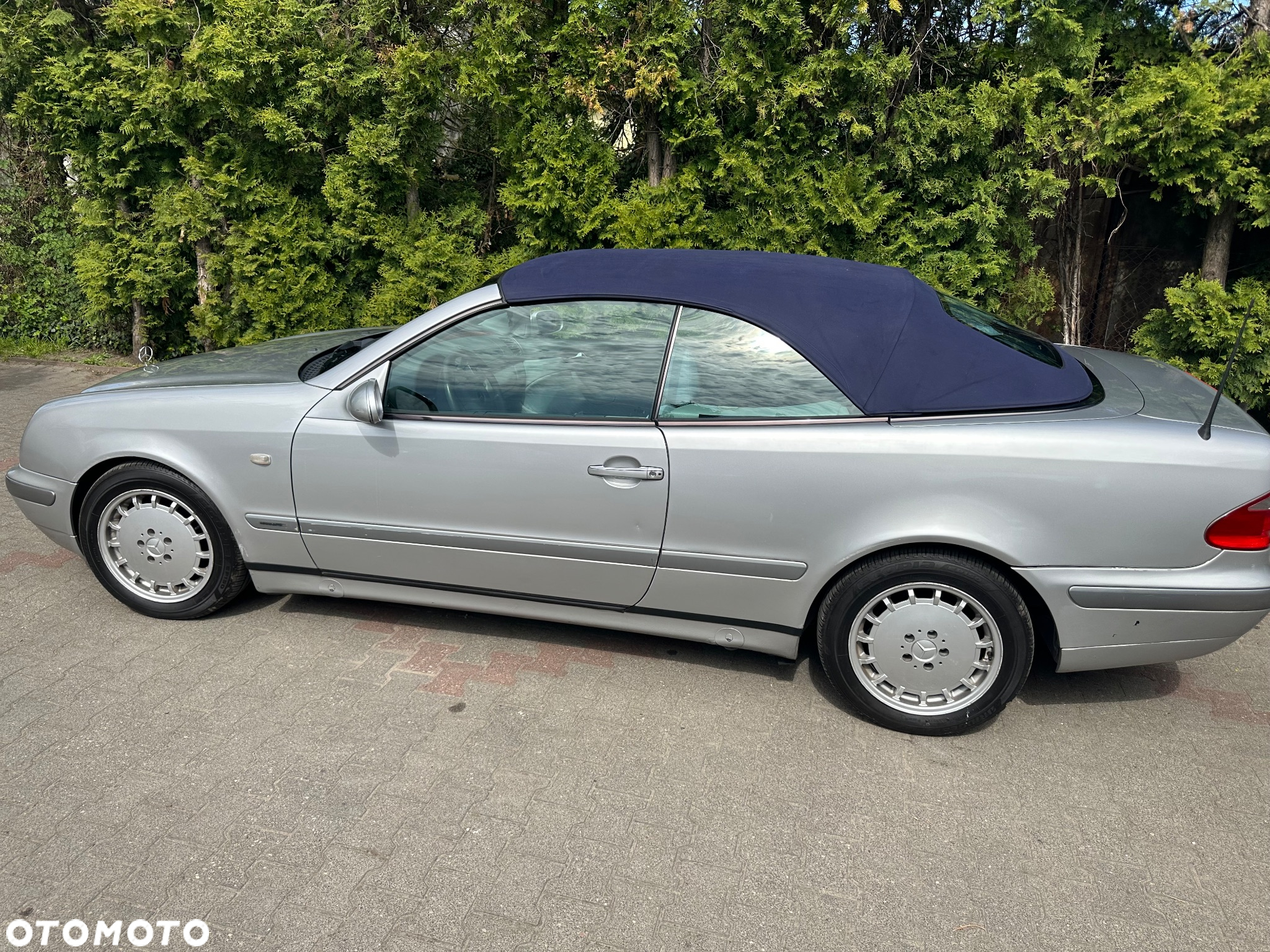 Mercedes-Benz CLK - 11
