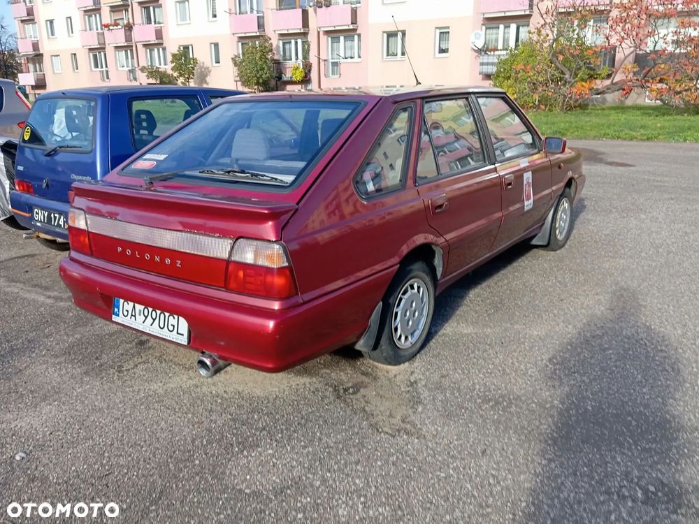 Polonez Caro - 6