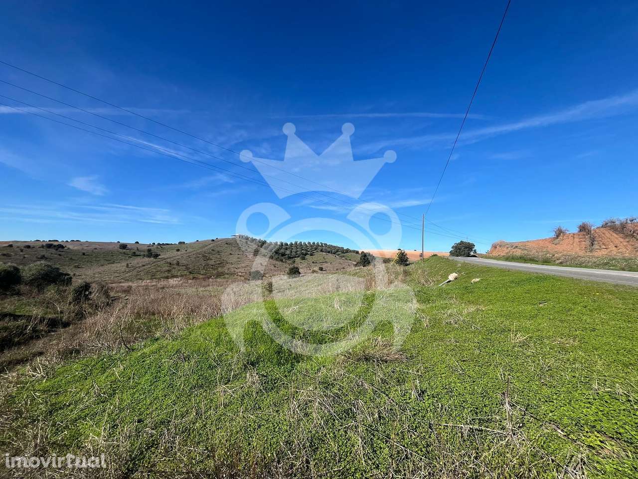 Terreno com 184500m2 em Ervidel - Grande imagem: 3/22