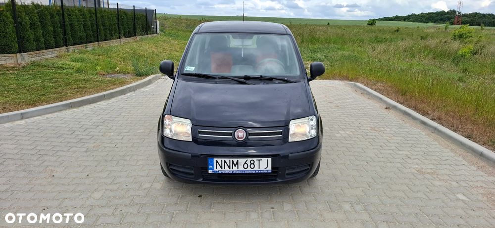 Fiat Panda - 2