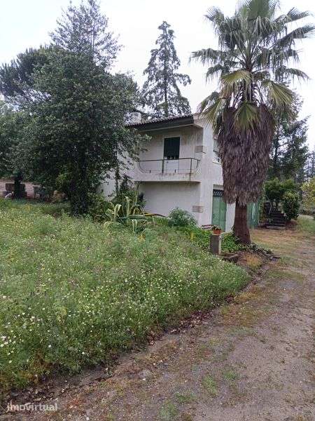 Quinta  nas imediações da vila de Sátão - Grande imagem: 4/4