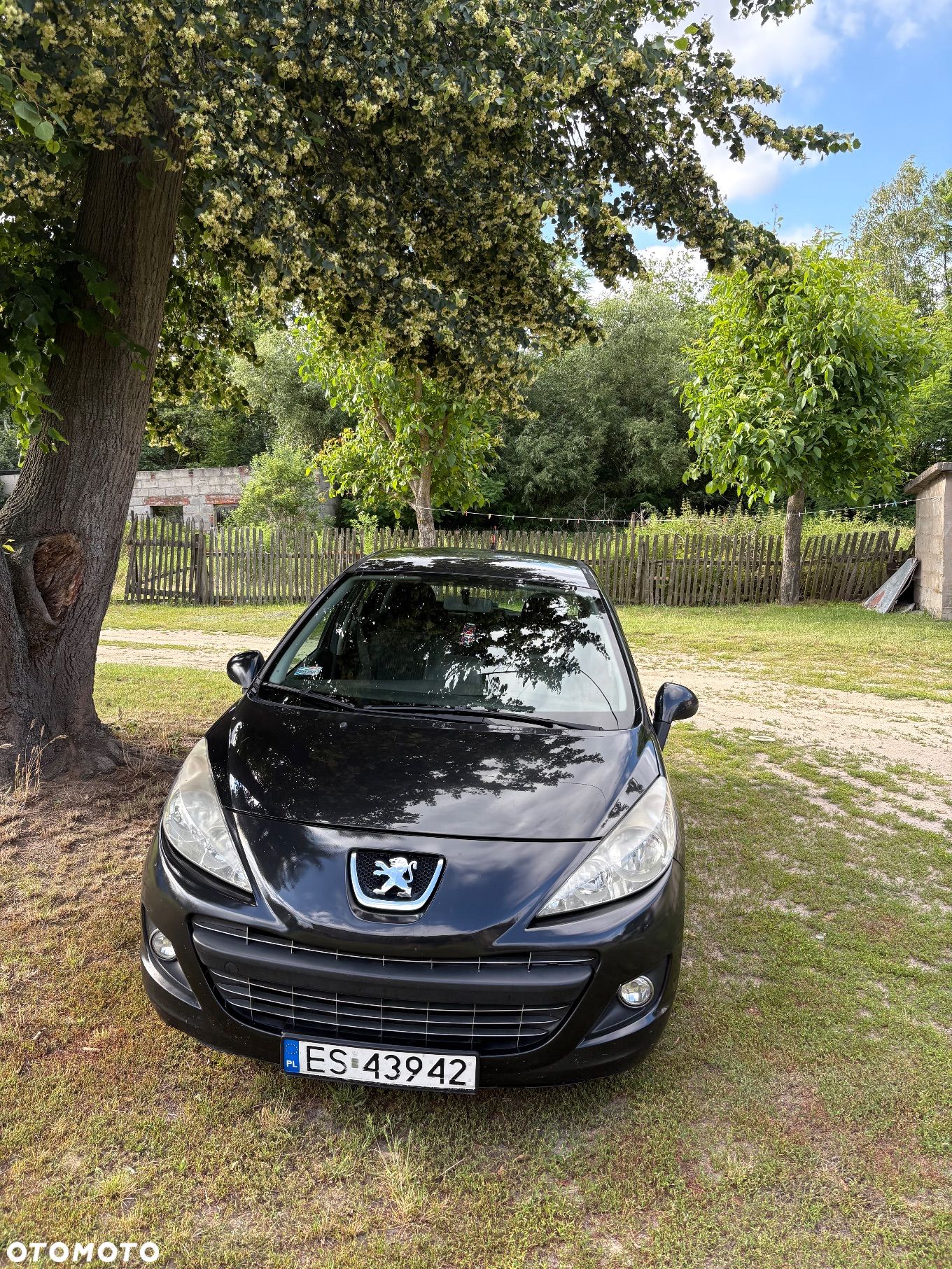 Peugeot 207 - 1