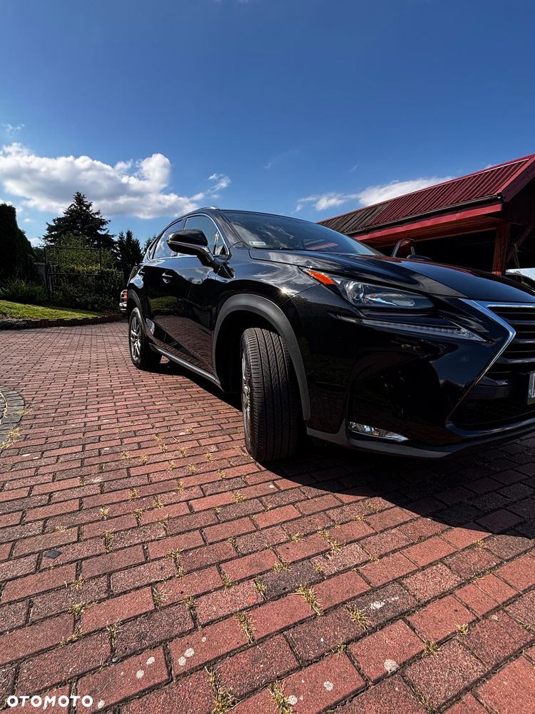 Lexus NX - 17