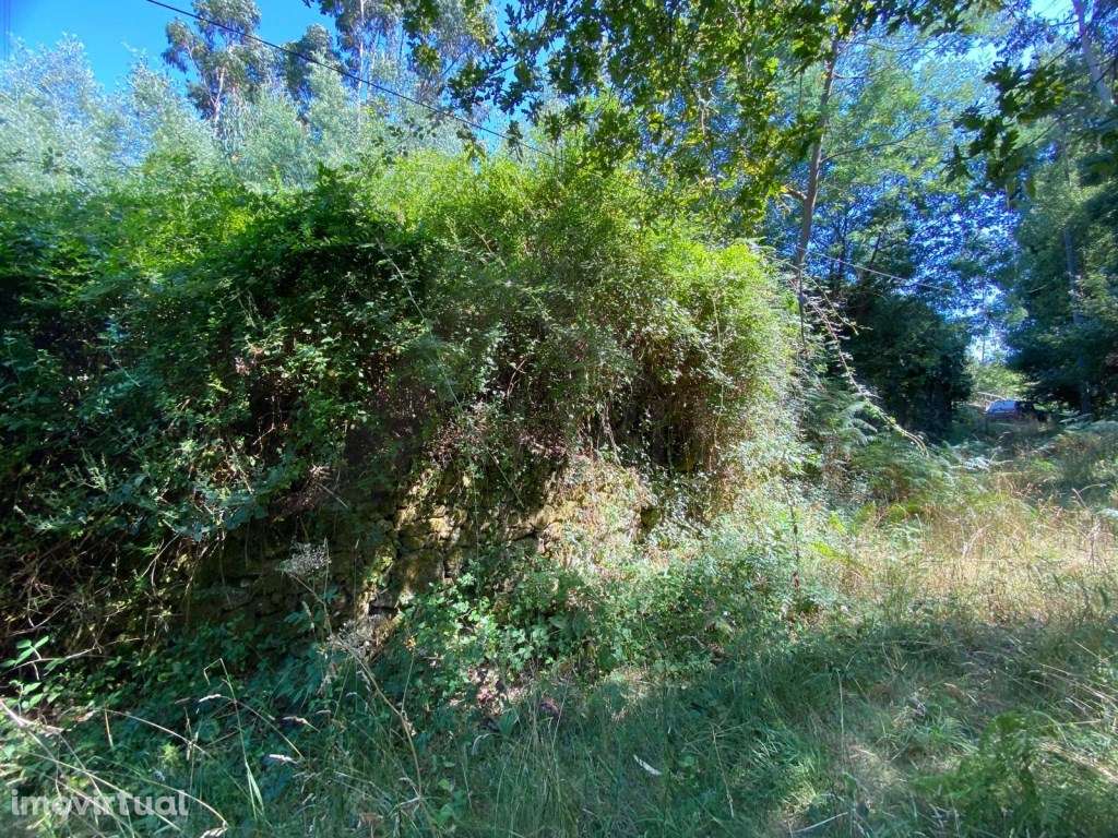 Ruína para restauro - Grande imagem: 5/16