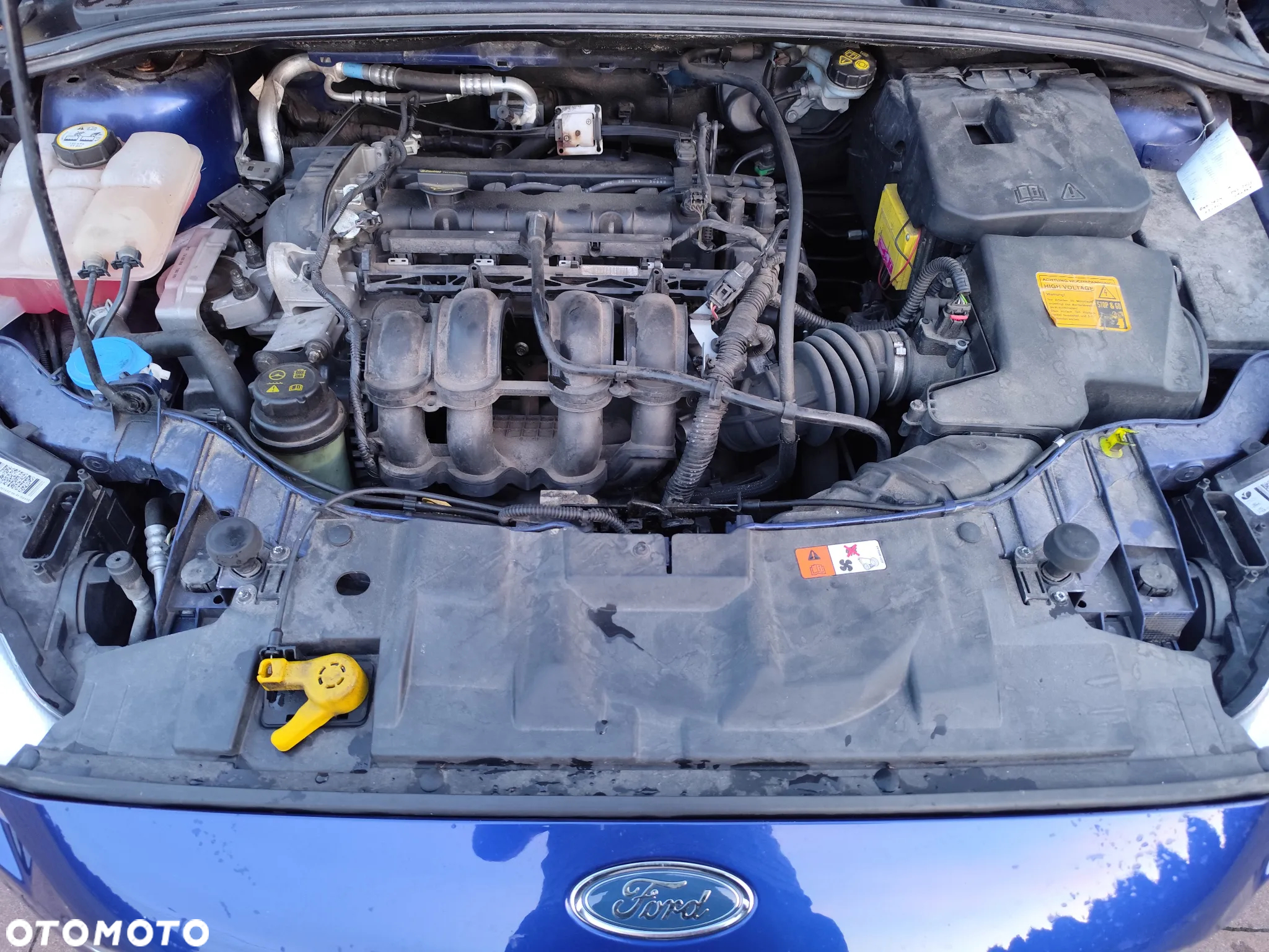 Ford Focus 1.6 Gold X (Trend) - 19