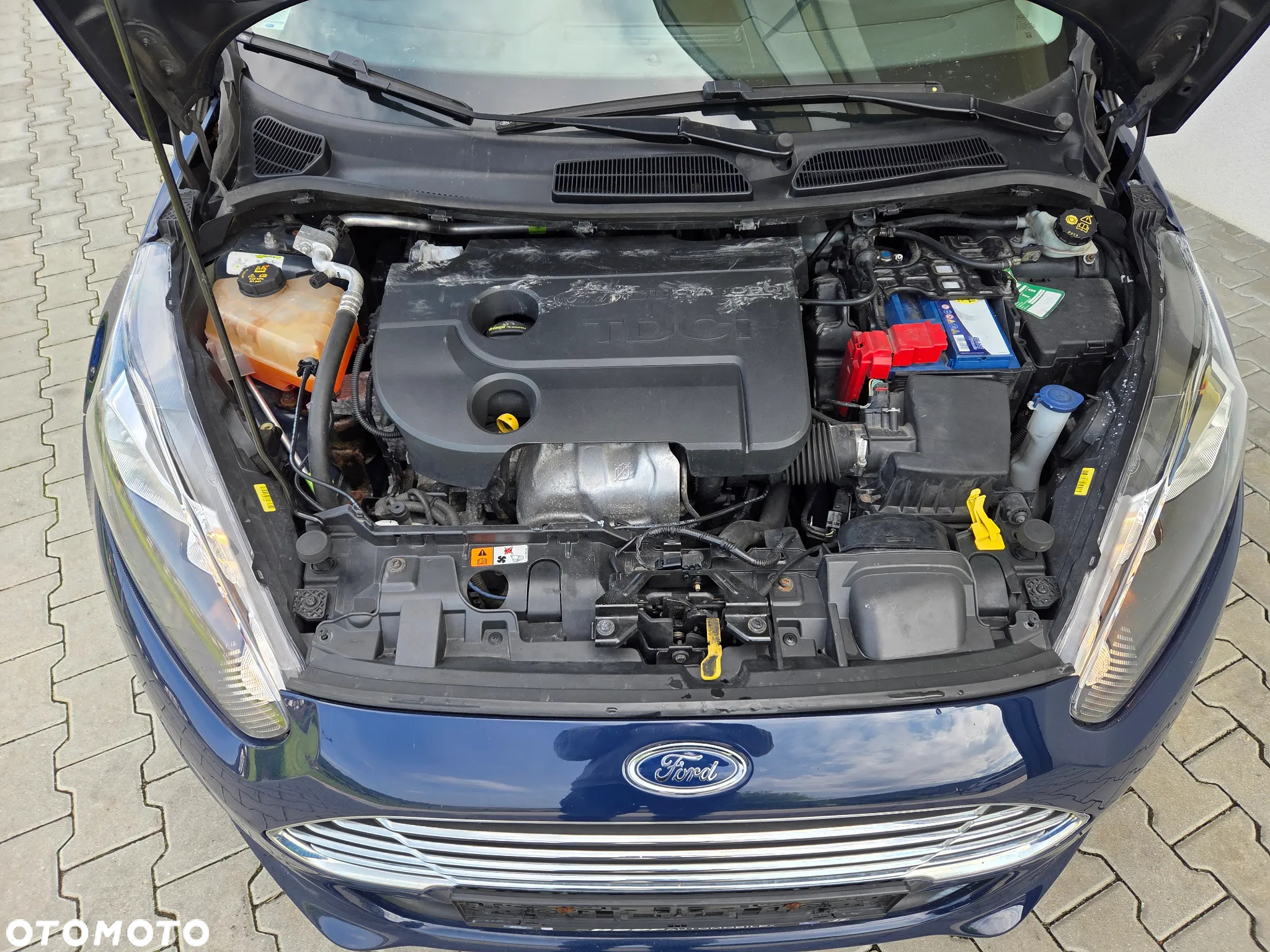 Ford Fiesta - 17