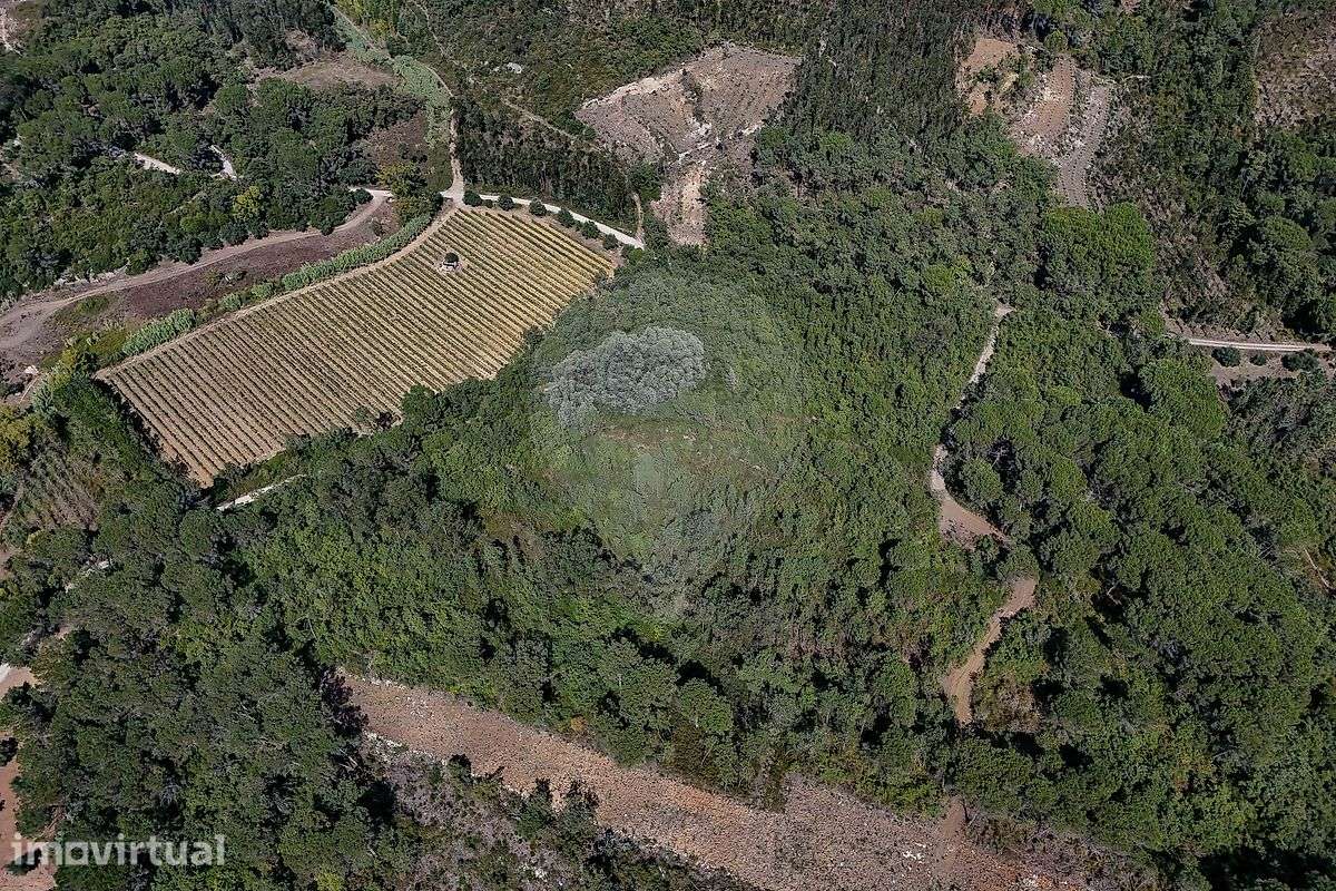Terreno  para venda - Grande imagem: 2/11