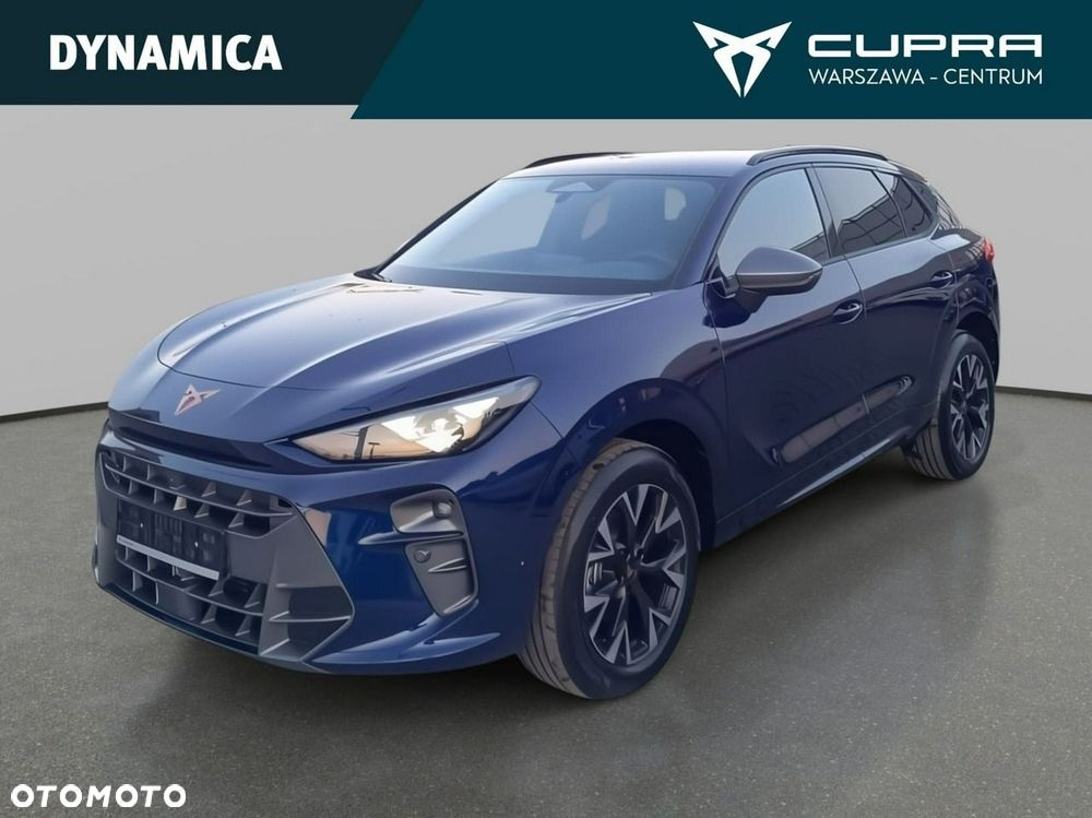 Cupra Terramar - 17