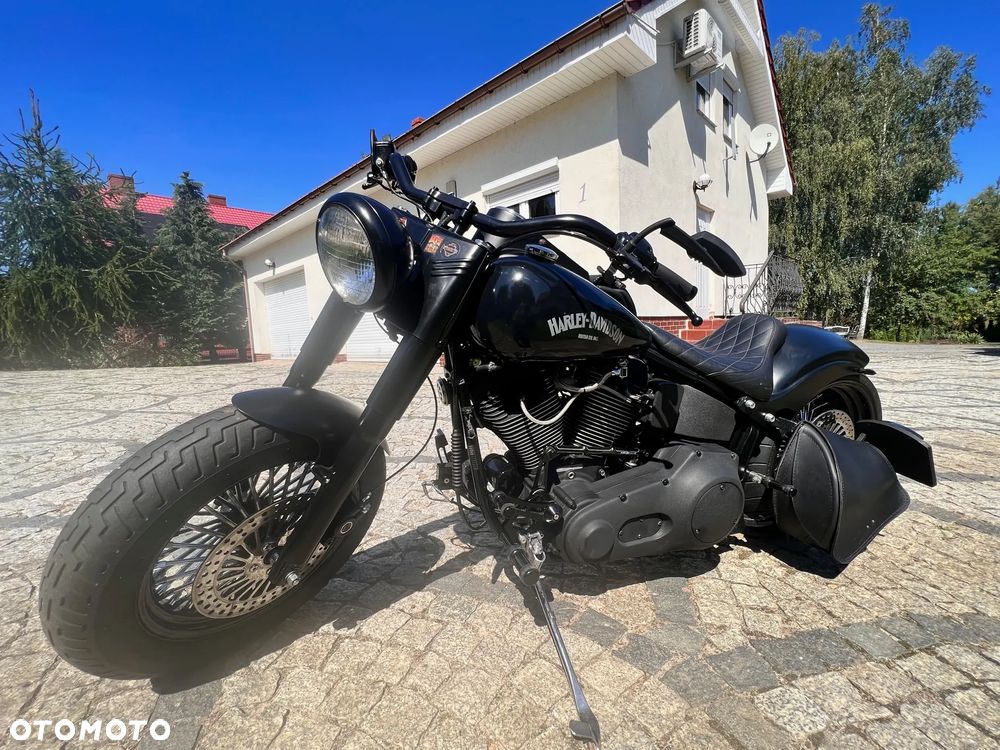 Harley-Davidson Softail - 3