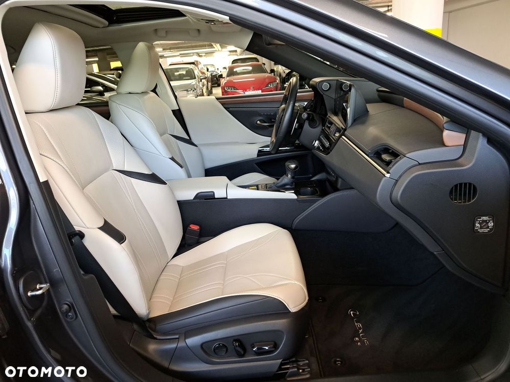 Lexus ES 300h Omotenashi - 15
