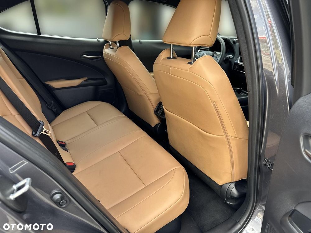 Lexus UX 300h F Sport Design - 11