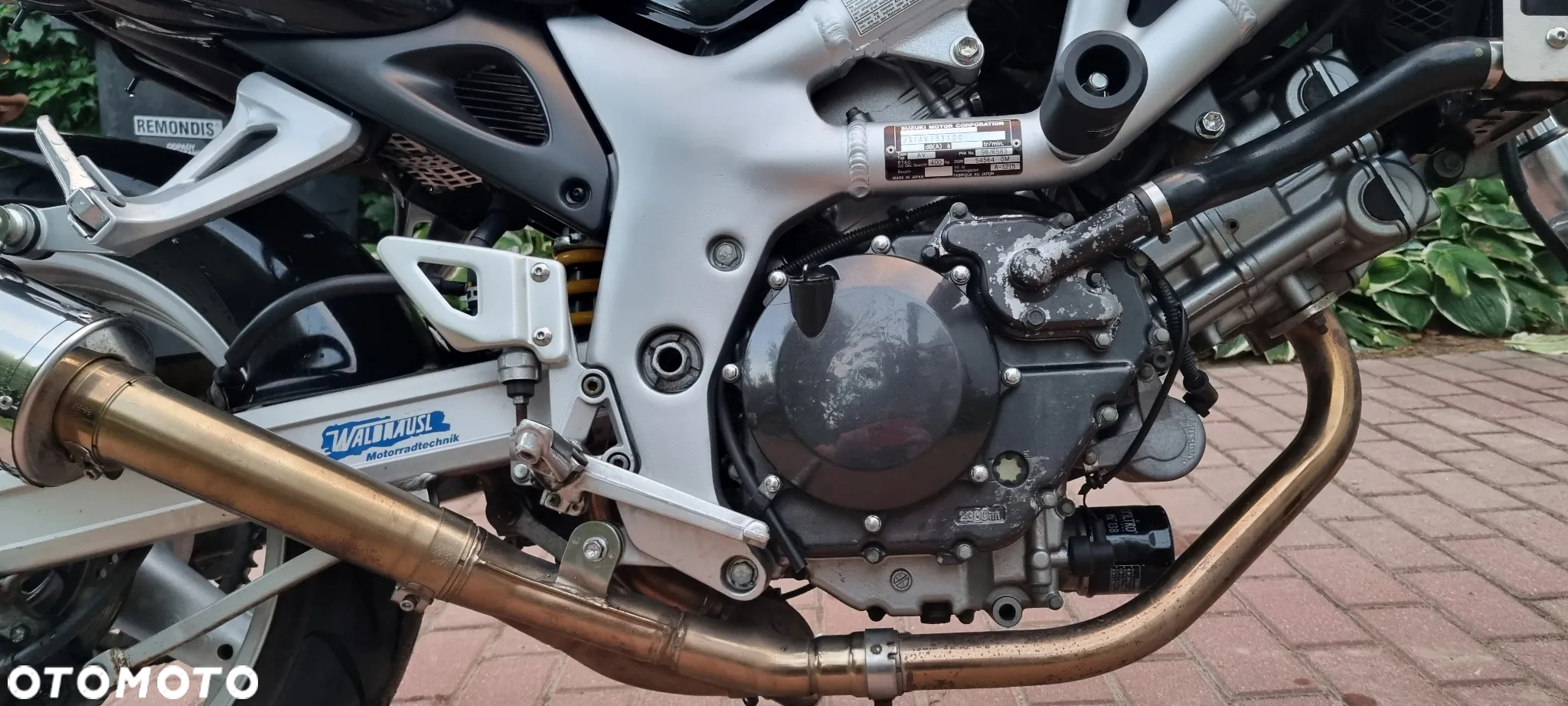 Suzuki SV - 7