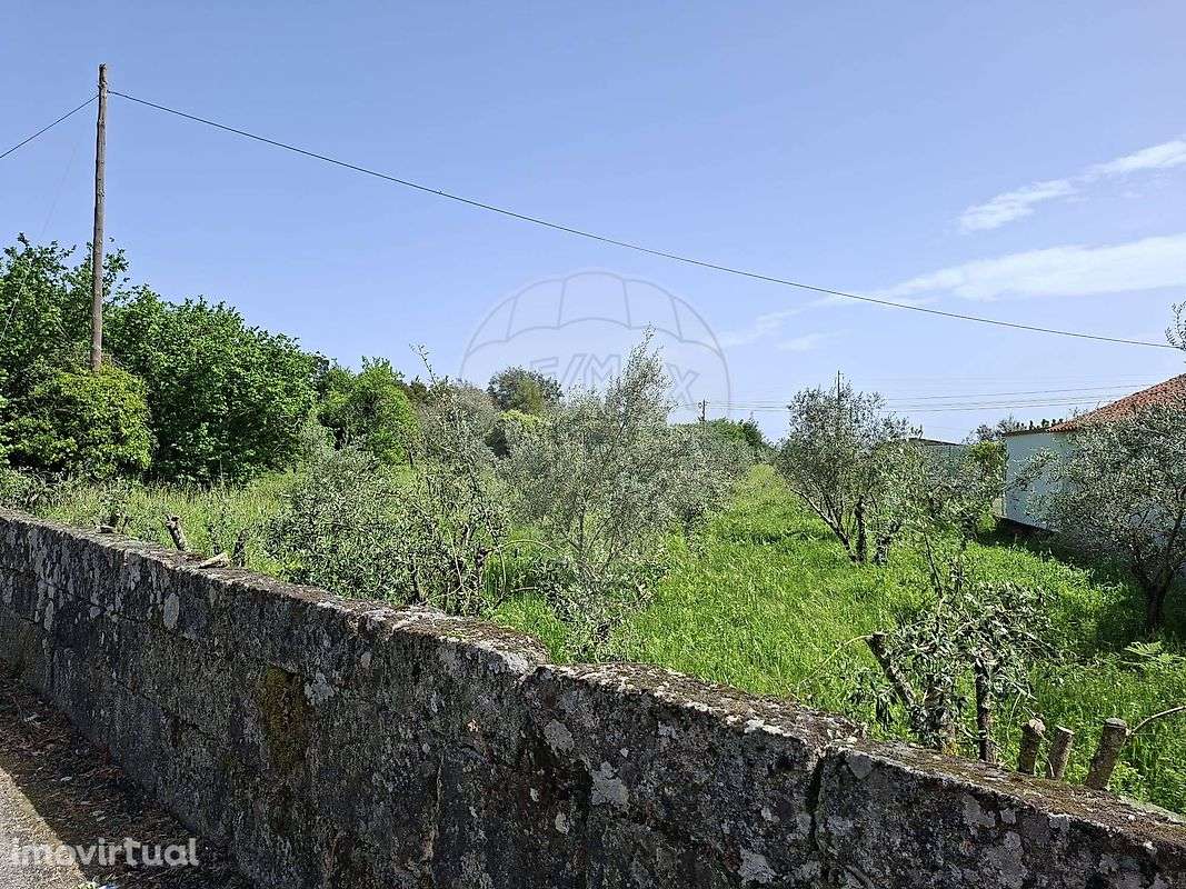 Terreno  para venda - Grande imagem: 5/5