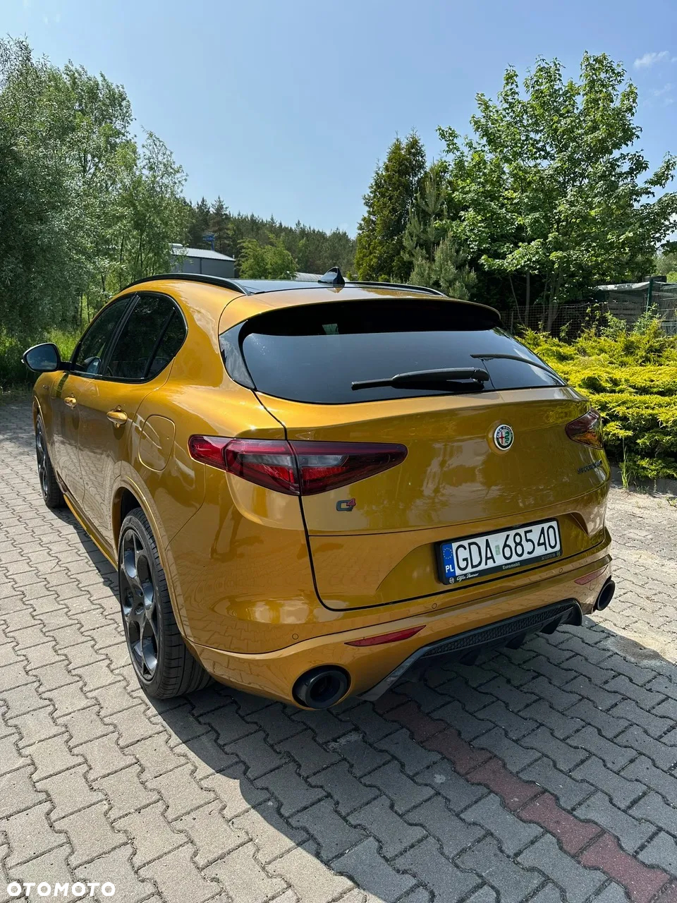 Alfa Romeo Stelvio 2.0 Turbo Veloce TI Q4 - 3