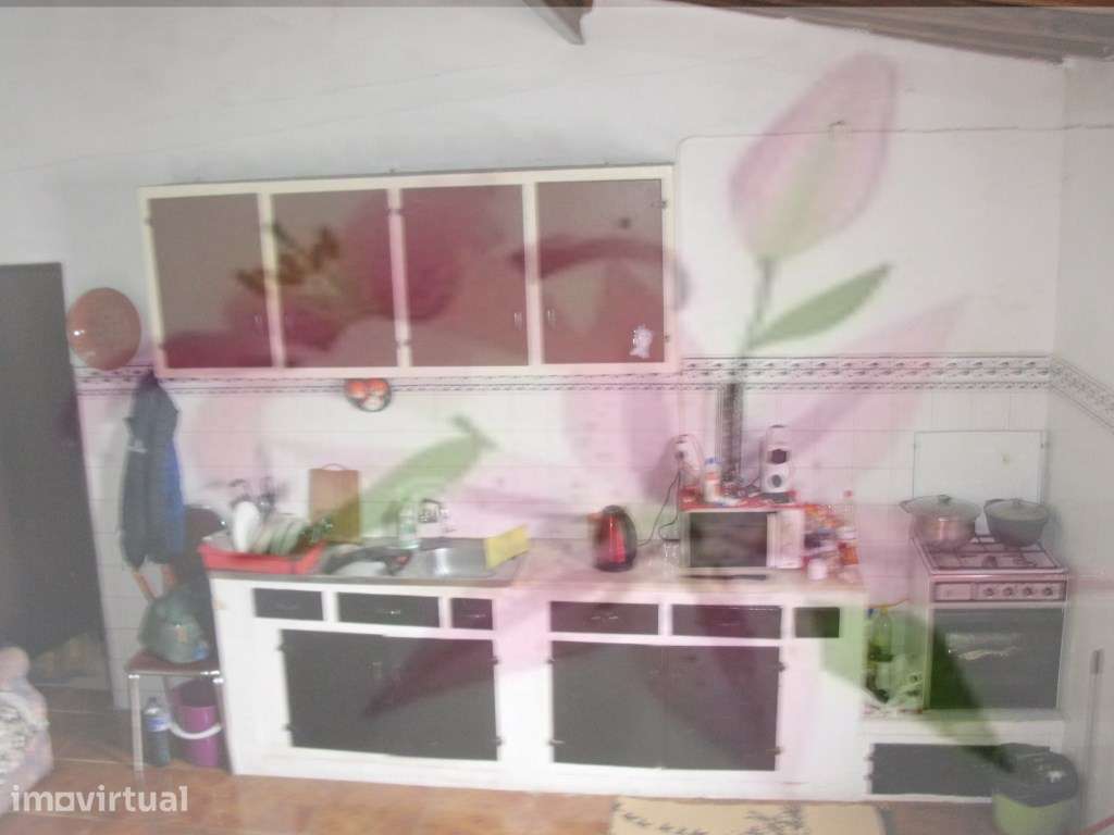 Moradia de R/c- Com Logradouro e Anexos - Grande imagem: 3/24
