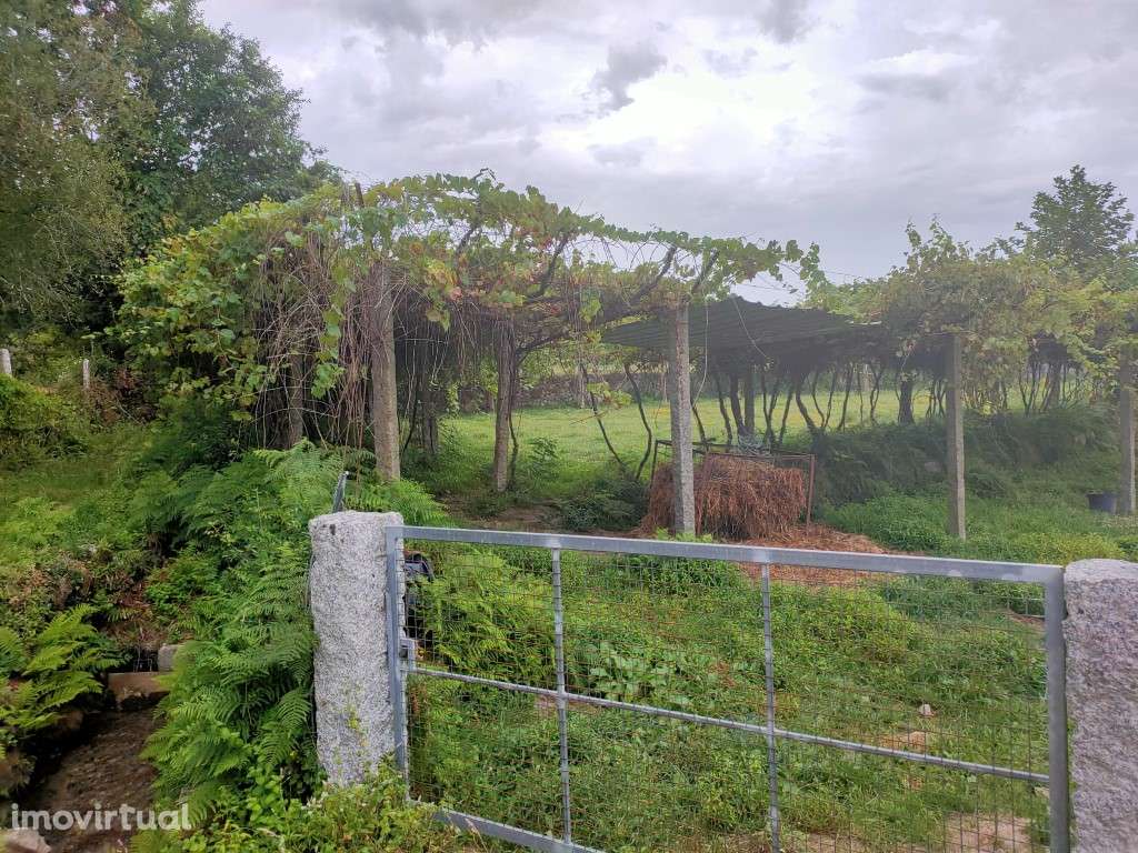 Terreno plano - Grande imagem: 2/7