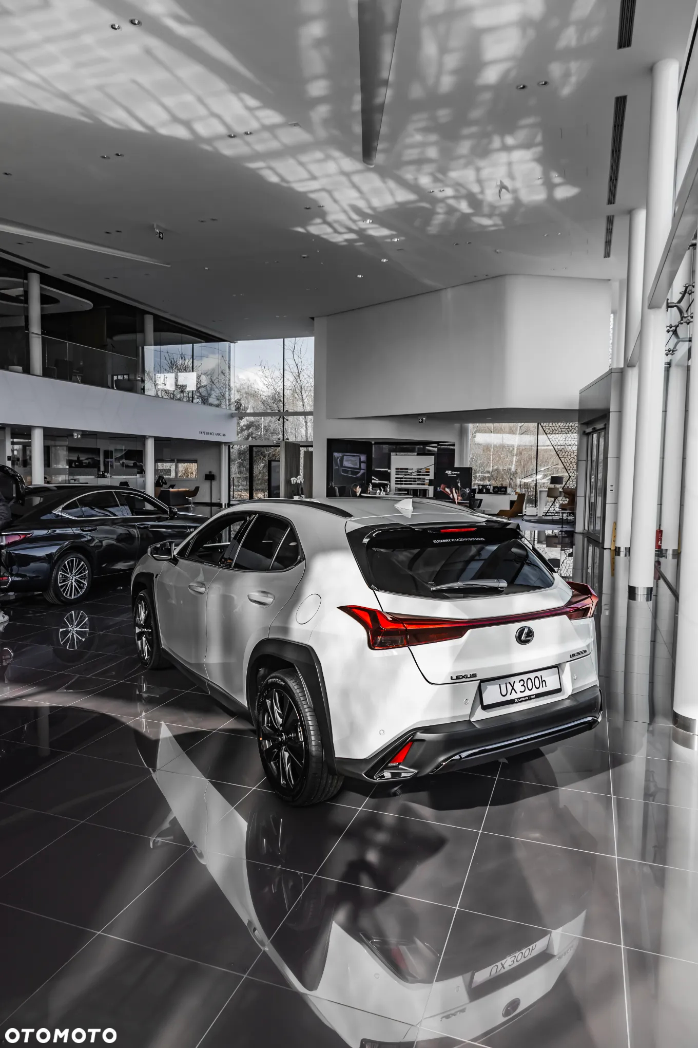 Lexus UX 300h F Sport Design AWD - 9