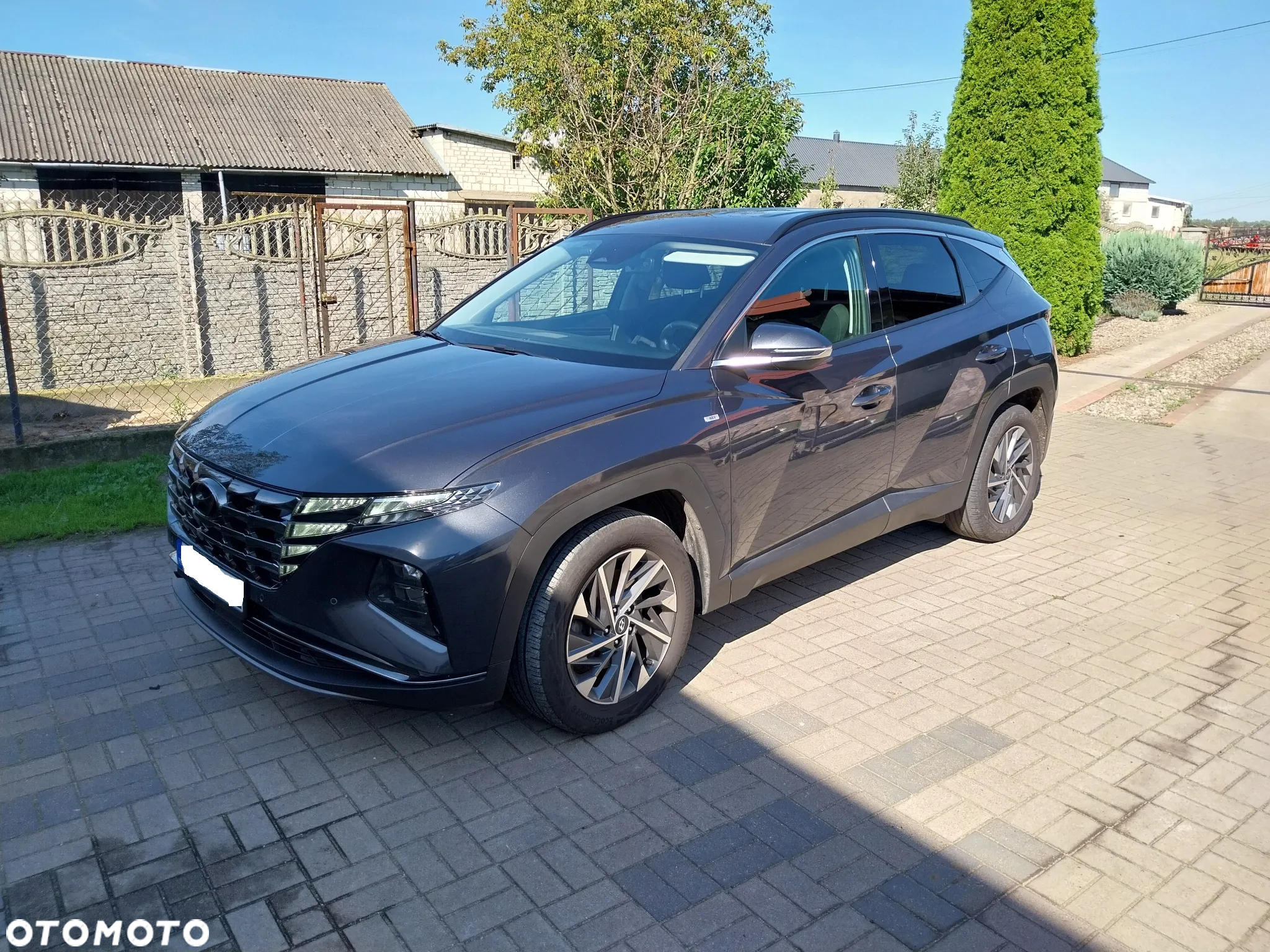 Hyundai Tucson 1.6 T-GDi 48V Executive 4WD DCT - 8