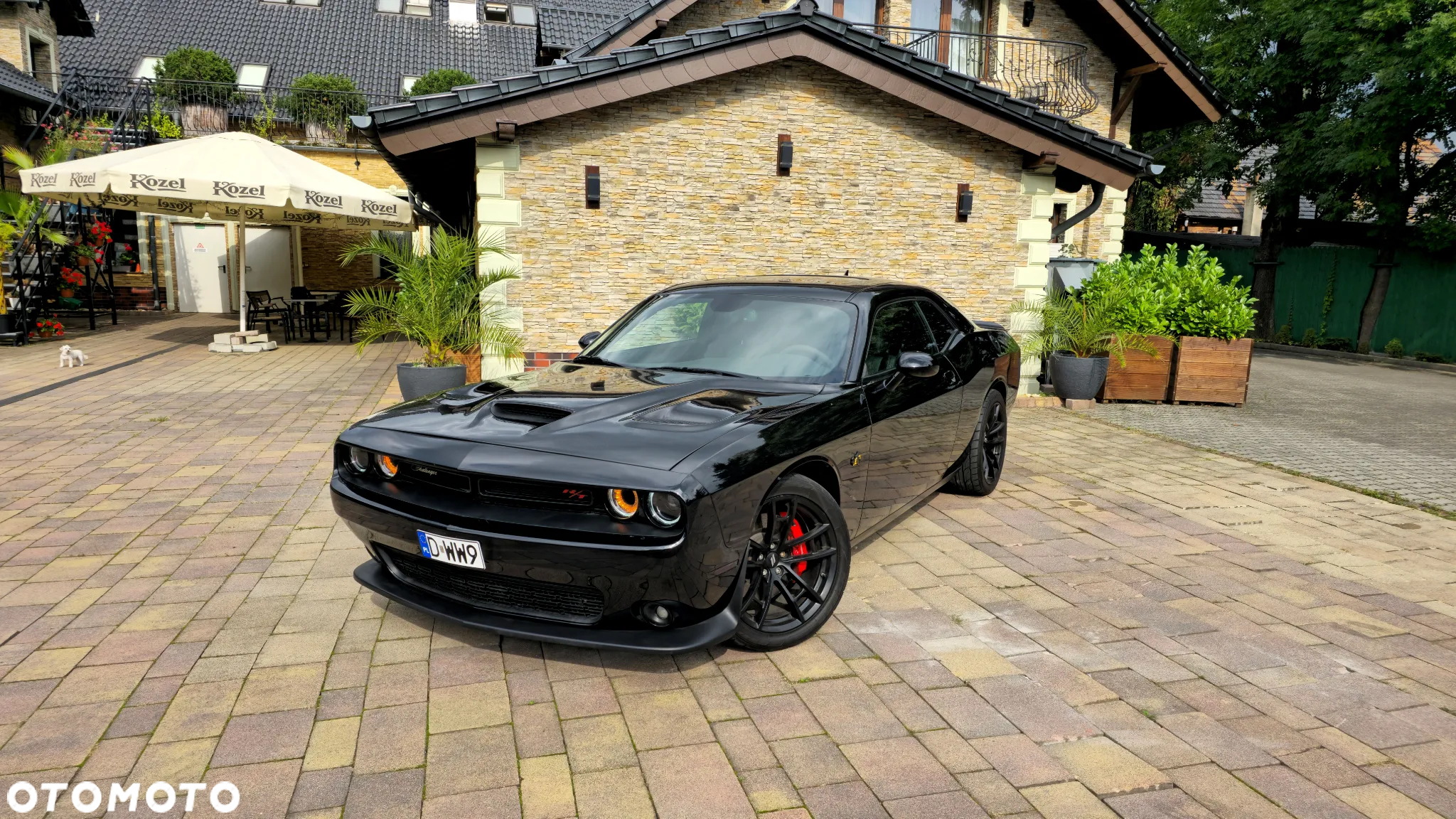 Dodge Challenger 6.4 Scat Pack - 20
