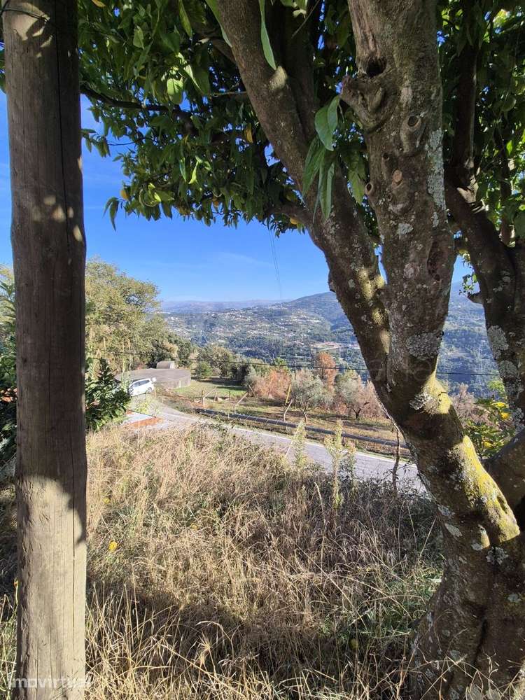 Casa de um pavimento e quintal - Grande imagem: 5/16