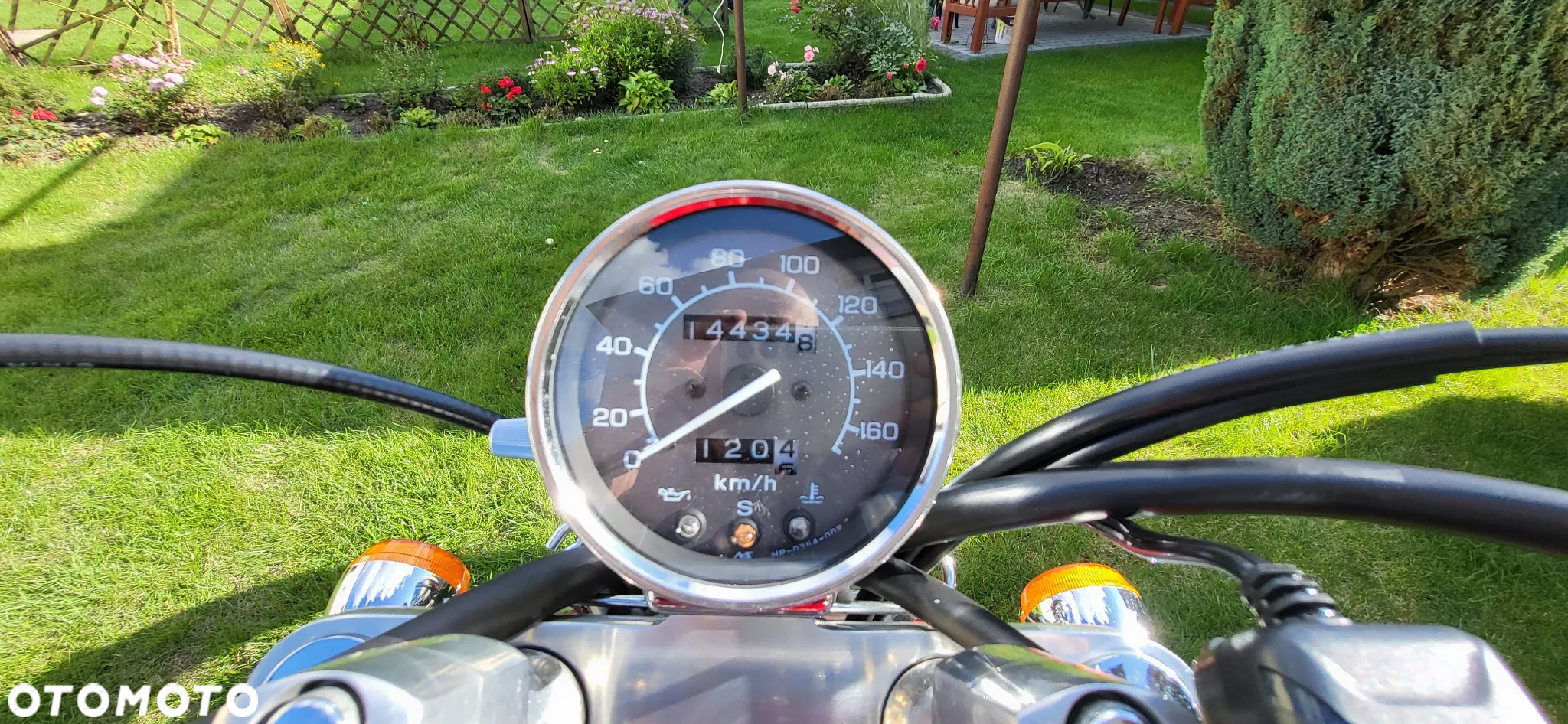 Honda Shadow - 7