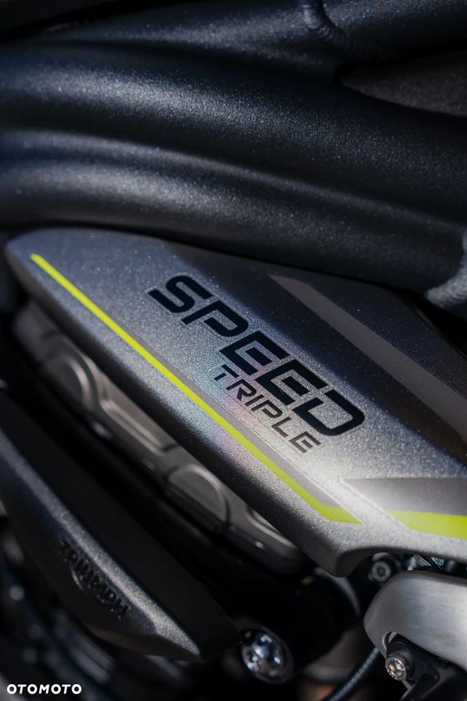 Triumph Speed Triple - 19