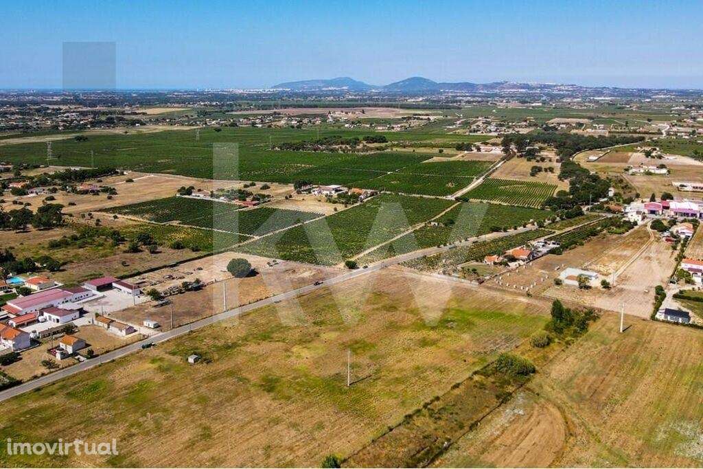 Terreno RÚSTICO c/ 1,86ha | Cajados - Palmela - Grande imagem: 5/12