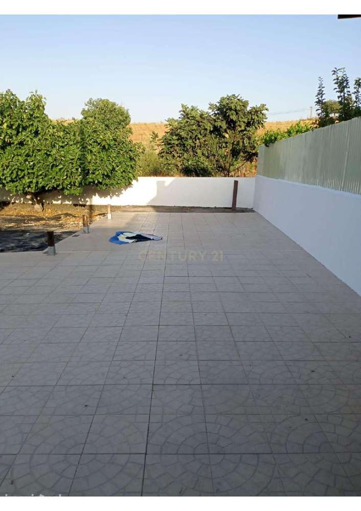 Moradia T4 | Sousel | Terreno 840m2 - Grande imagem: 3/10
