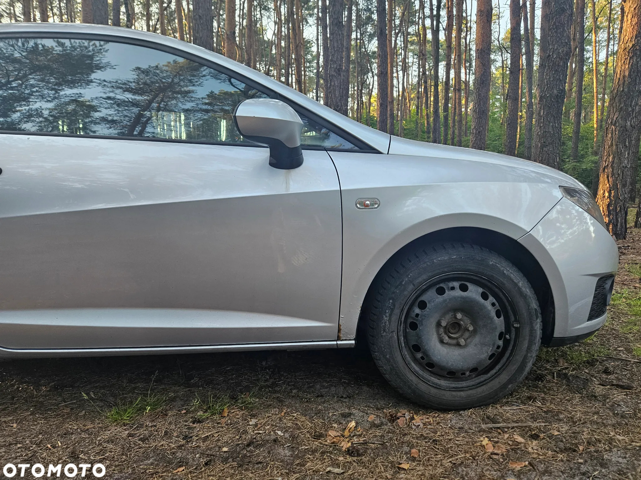 Seat Ibiza - 9