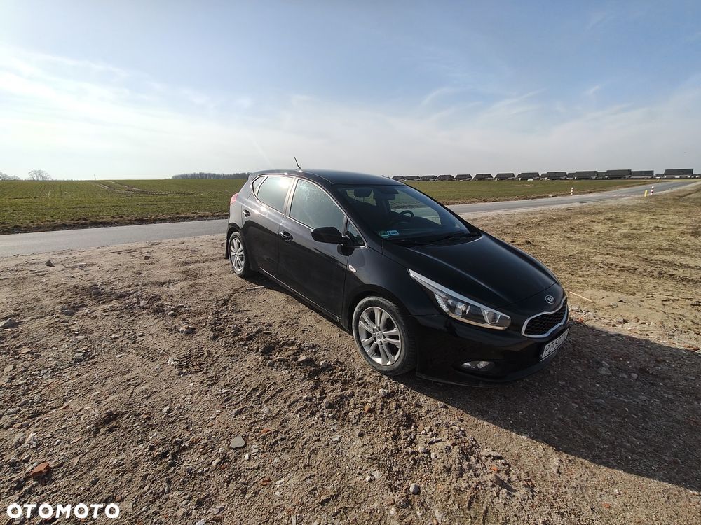 Kia Ceed - 1