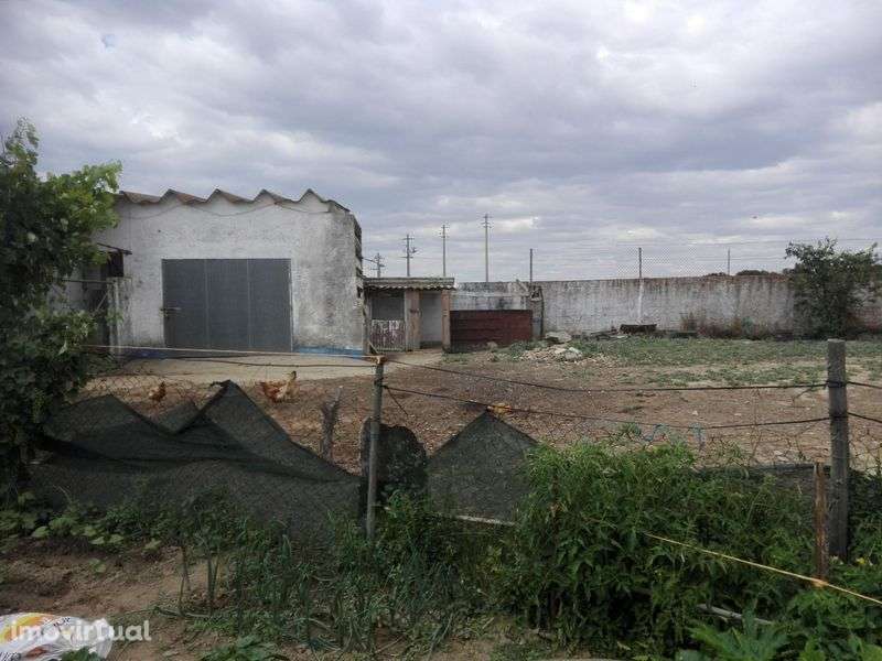 Quinta Ourique  aluguer - Grande imagem: 4/12