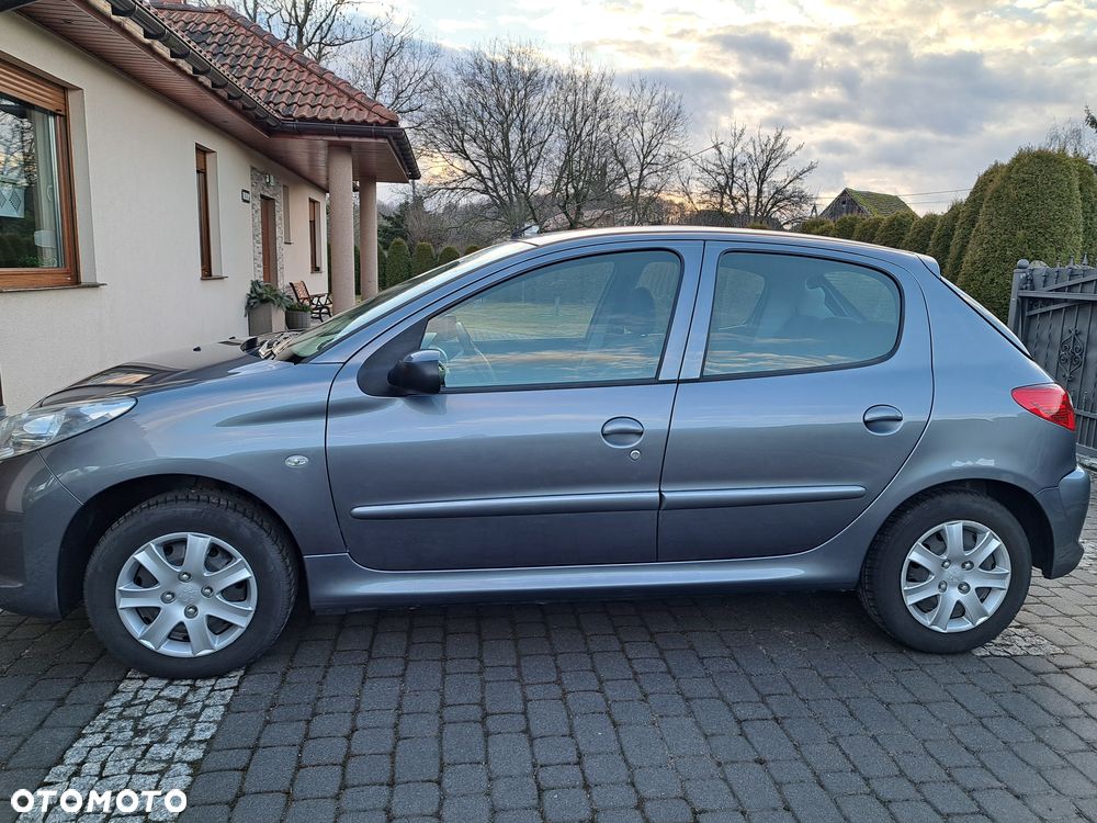 Peugeot 206 plus 60 - 13