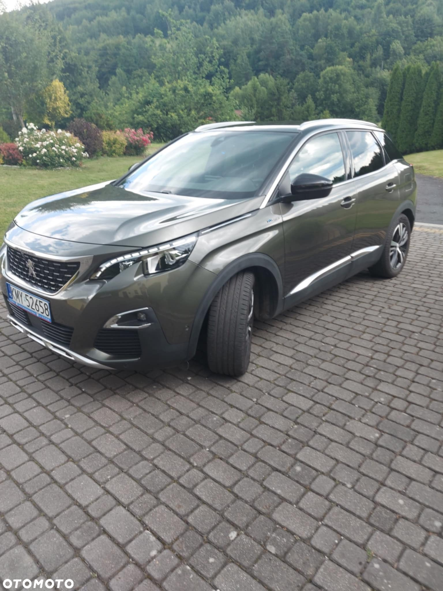 Peugeot 3008 - 14