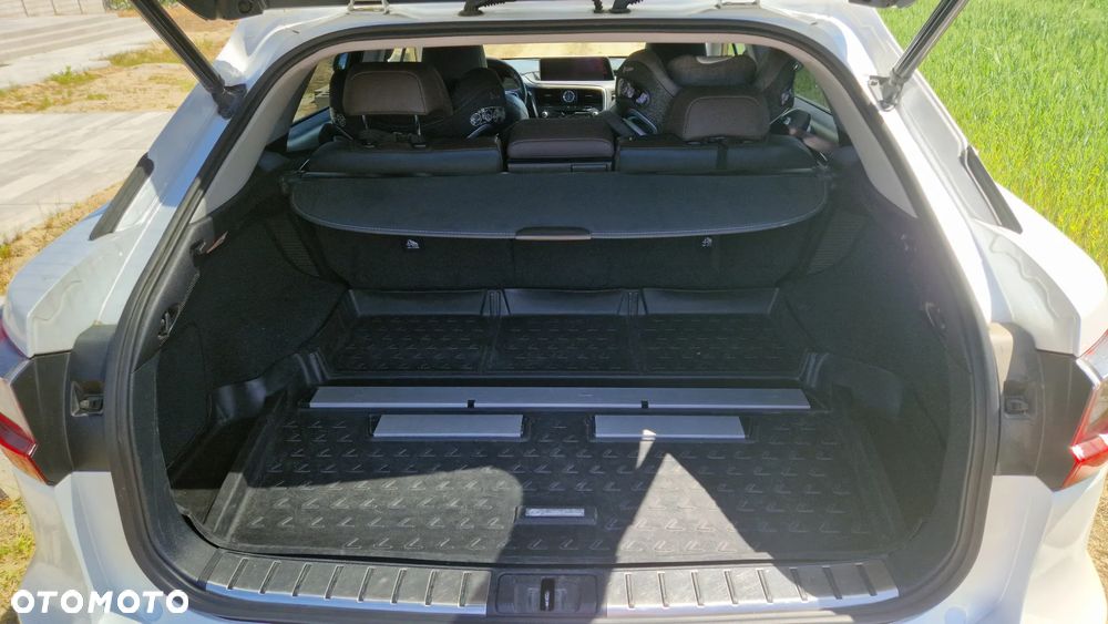 Lexus RX 450h (hybrid) - 19