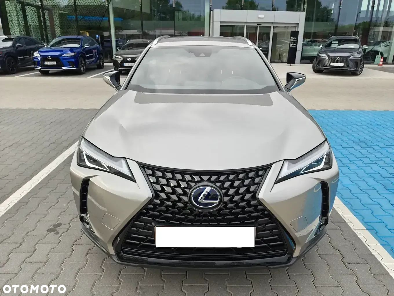 Lexus UX 250h GPF Business Edition 2WD - 1
