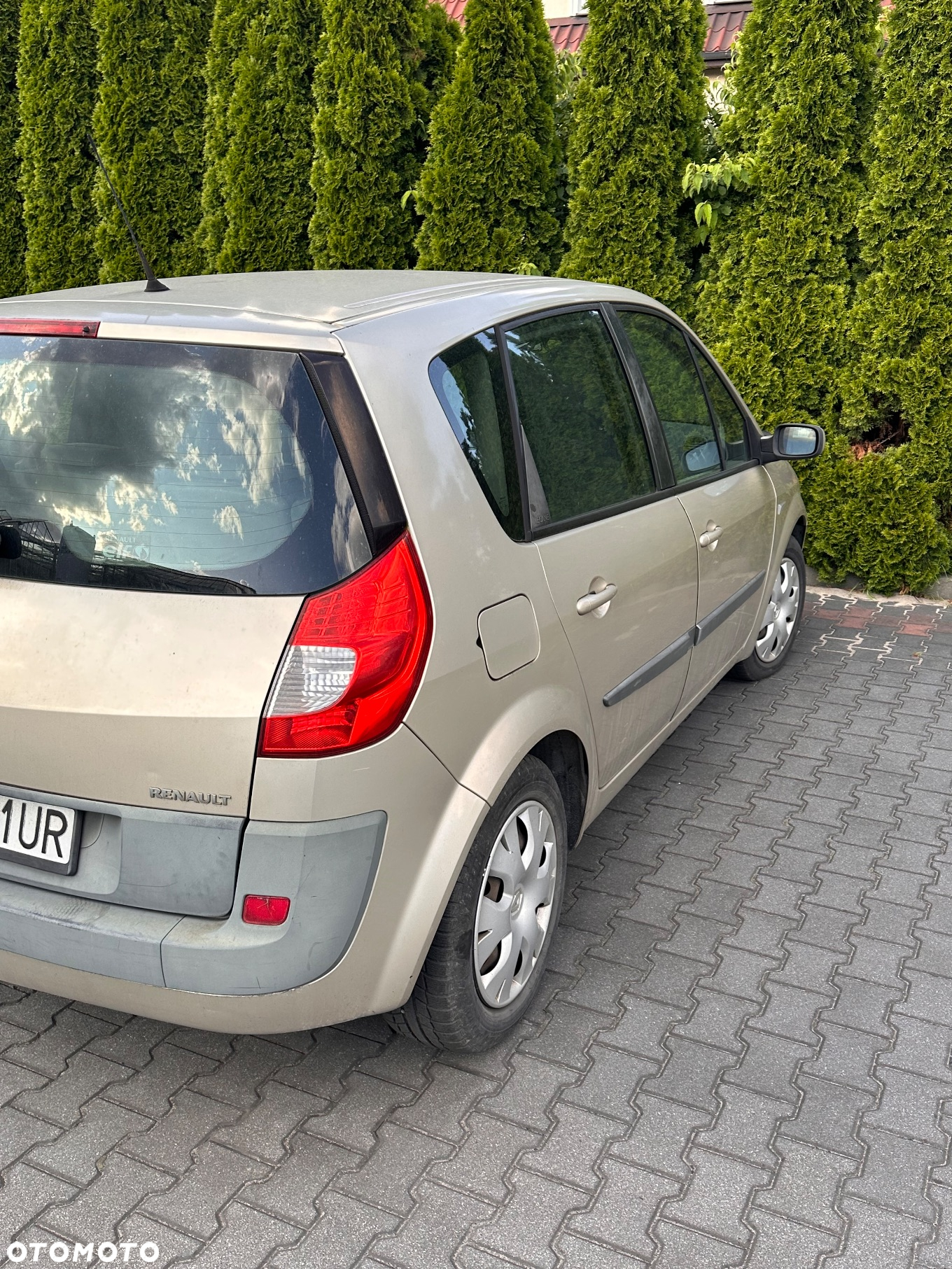 Renault Scenic - 3
