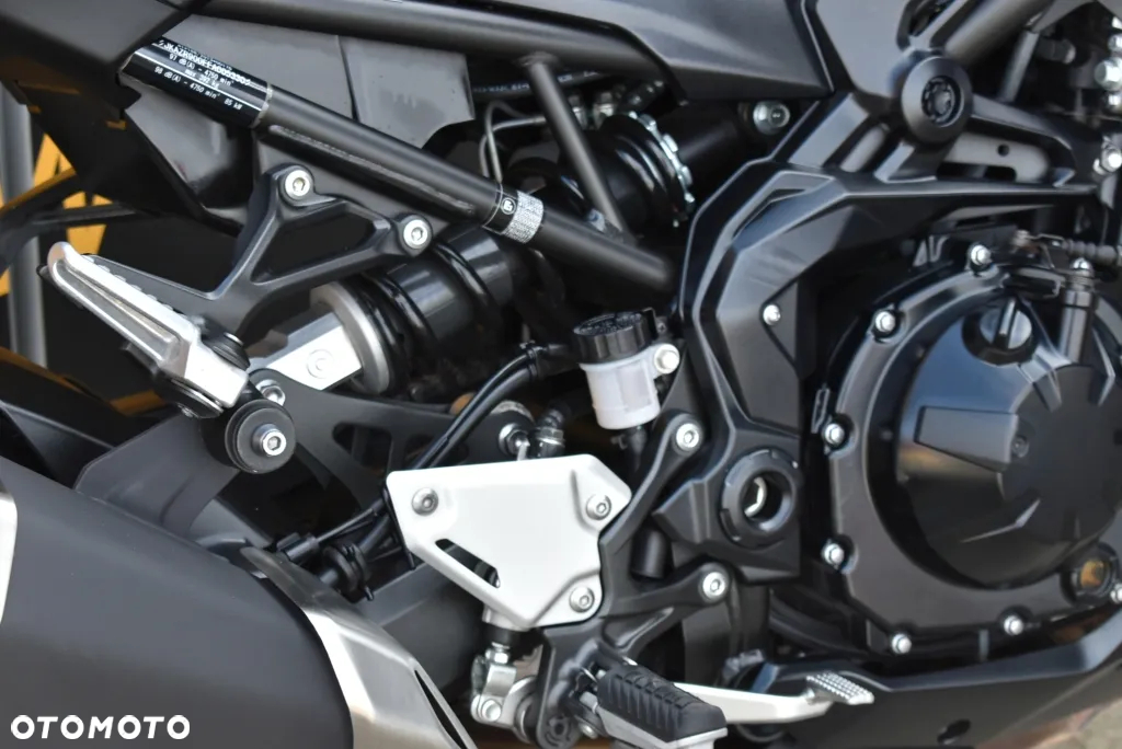 Kawasaki Z - 31