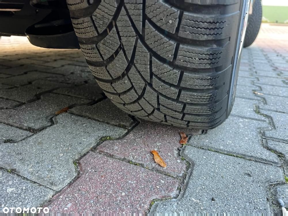 Volkswagen Beetle - 28