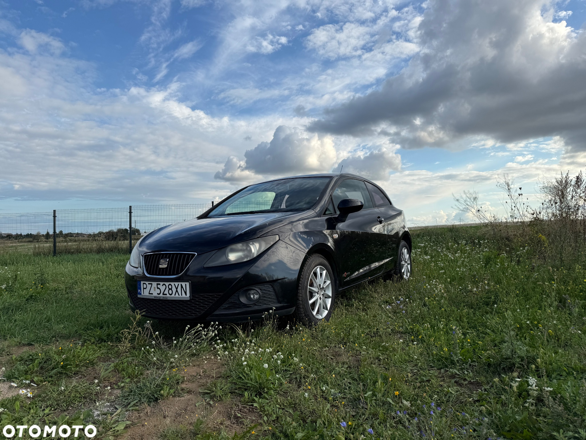 Seat Ibiza - 2